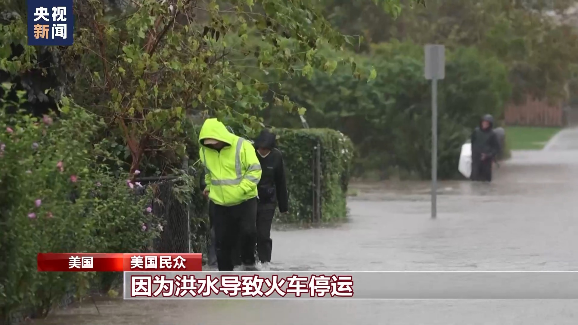 九五之尊的老网址